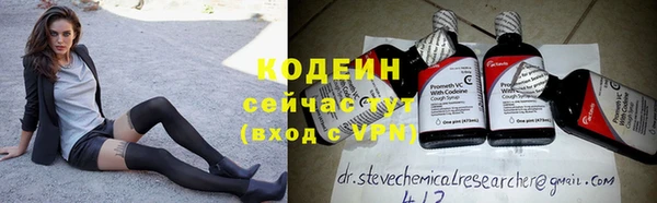 индика Костерёво