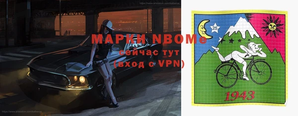 индика Костерёво