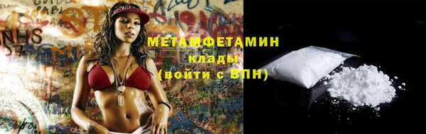 индика Костерёво