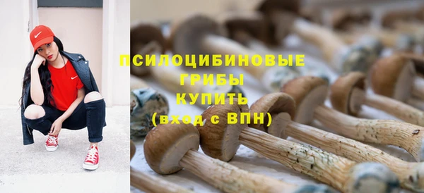 шишки Кодинск