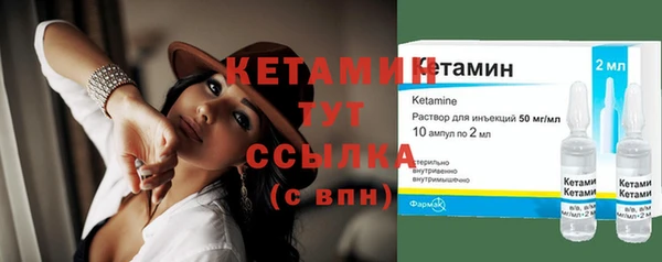 индика Костерёво
