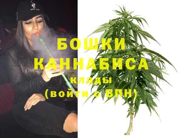 шишки Кодинск