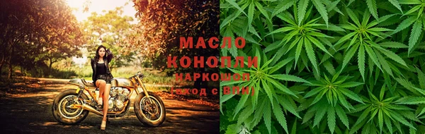 шишки Кодинск