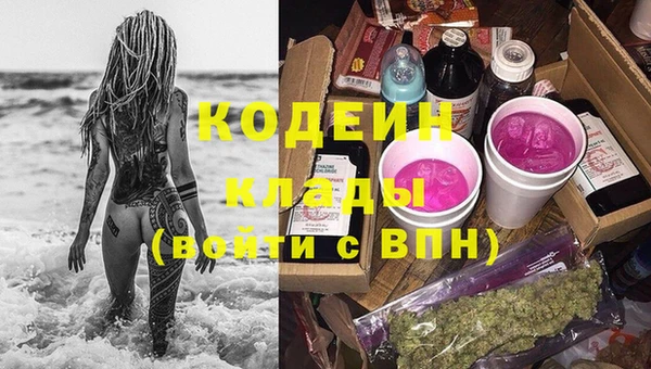 индика Костерёво