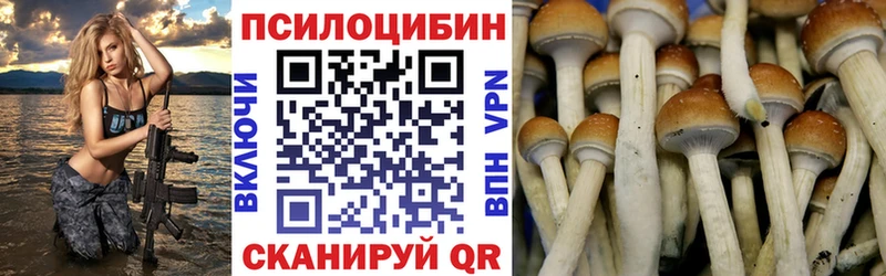 сколько стоит  Лукоянов  Псилоцибиновые грибы прущие грибы 